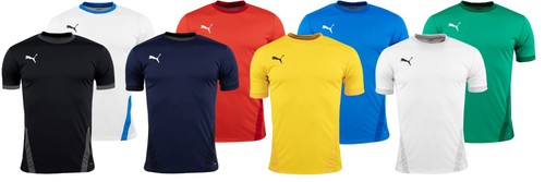 Puma herren shirt teamgoal - puma, t-shirt