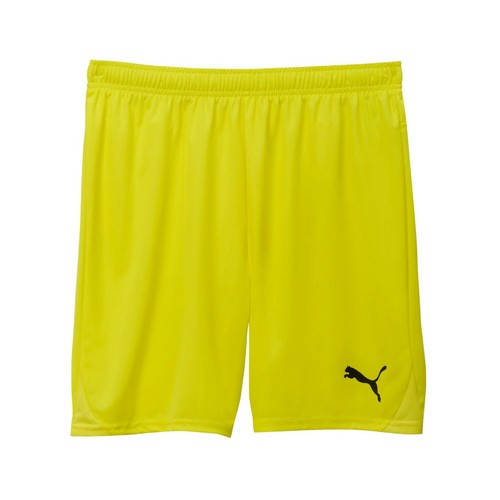 Puma teamgoal shorts 705752 - puma,