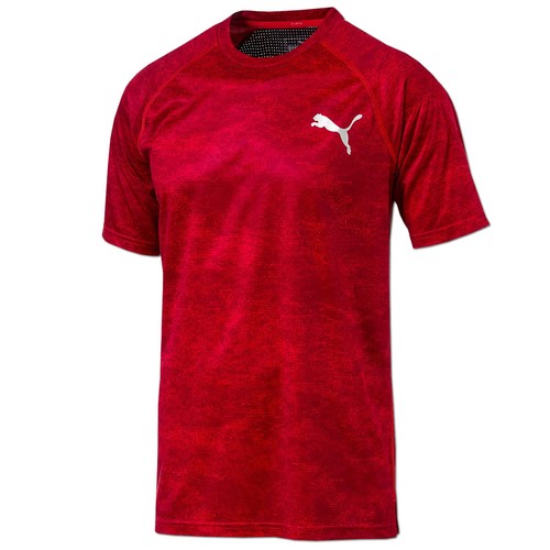 Puma herren vent graphic - herren, shirt